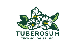 Tuberosum