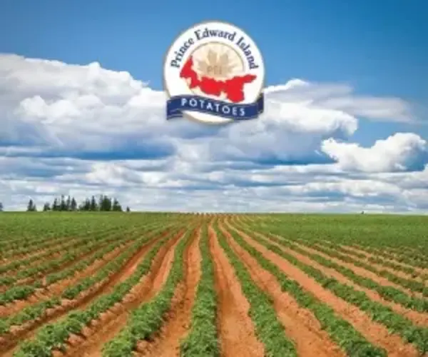 Prince Edward Island Potatoes Logo