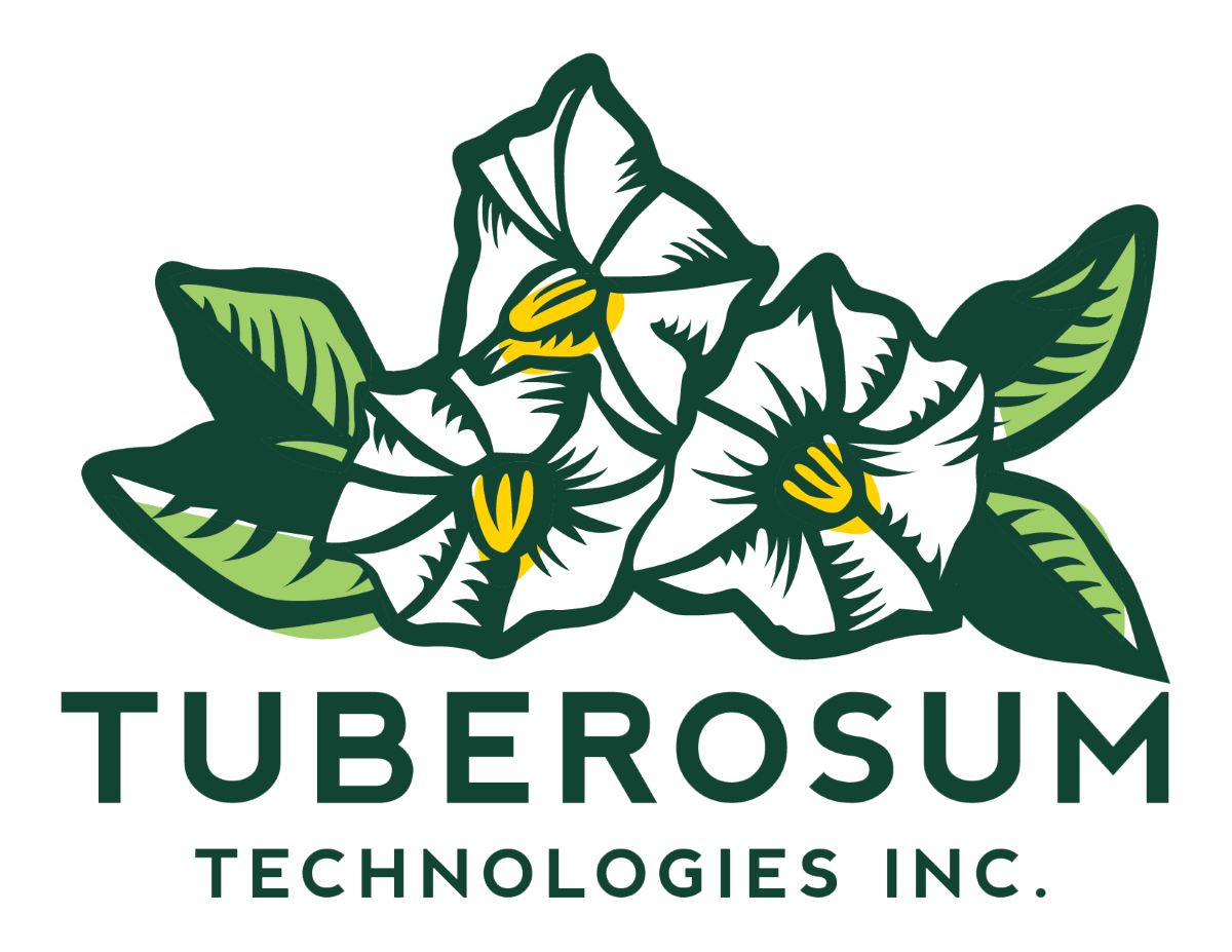 Tuberosum