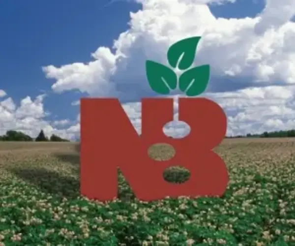 New Brunswick Potatoes Logo