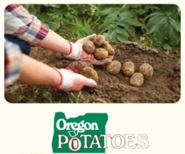 Oregon Potatoes Logo